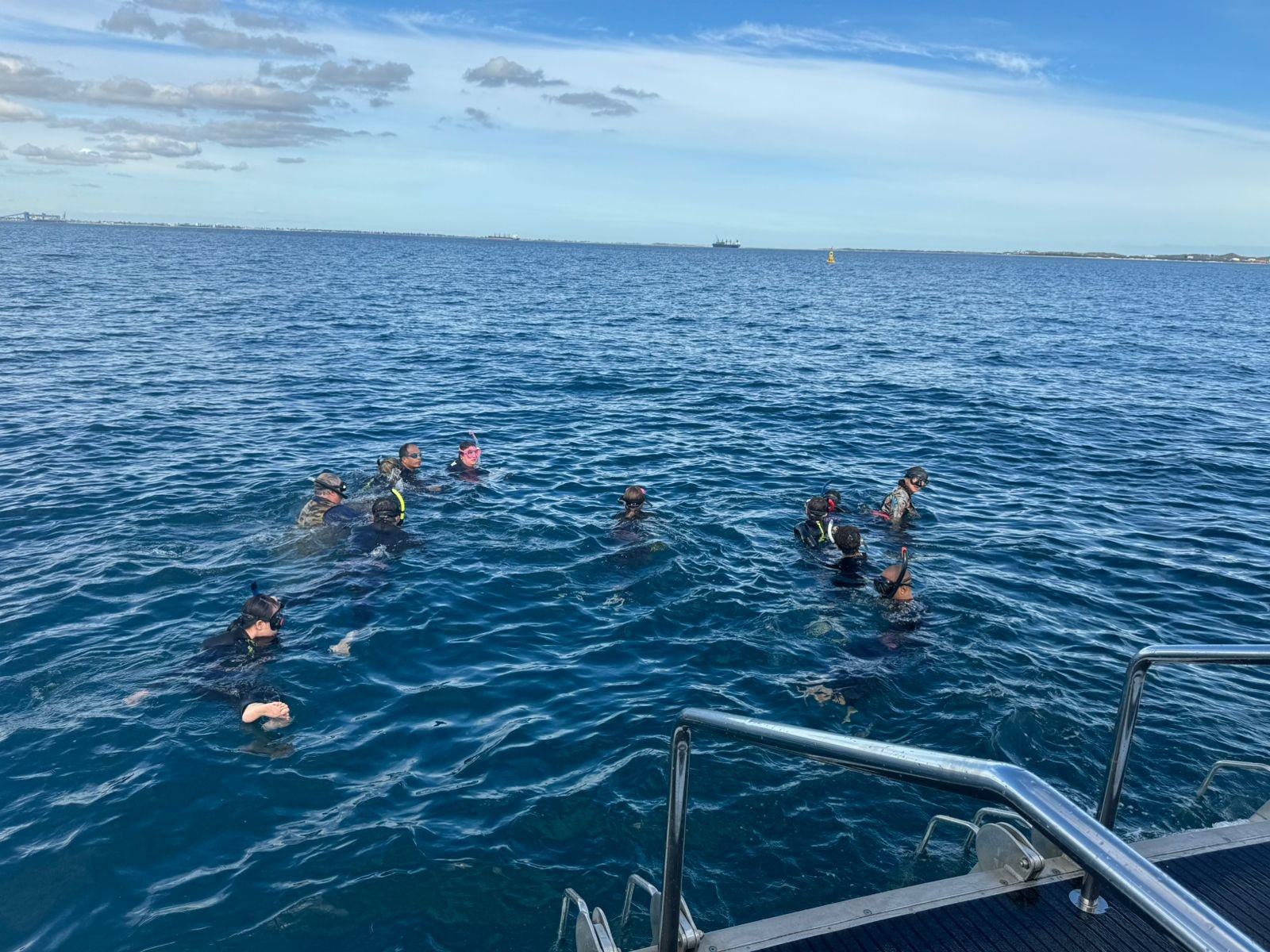 Serunya Berenang dengan Lumba Lumba di Laut Lepas Australia Barat