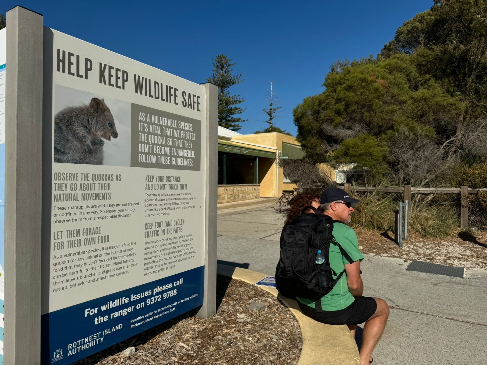 Berkunjung ke Pulau Rottnest Australia, Berselfie dengan Quokka Hewan Imut yang Selalu Tersenyum
