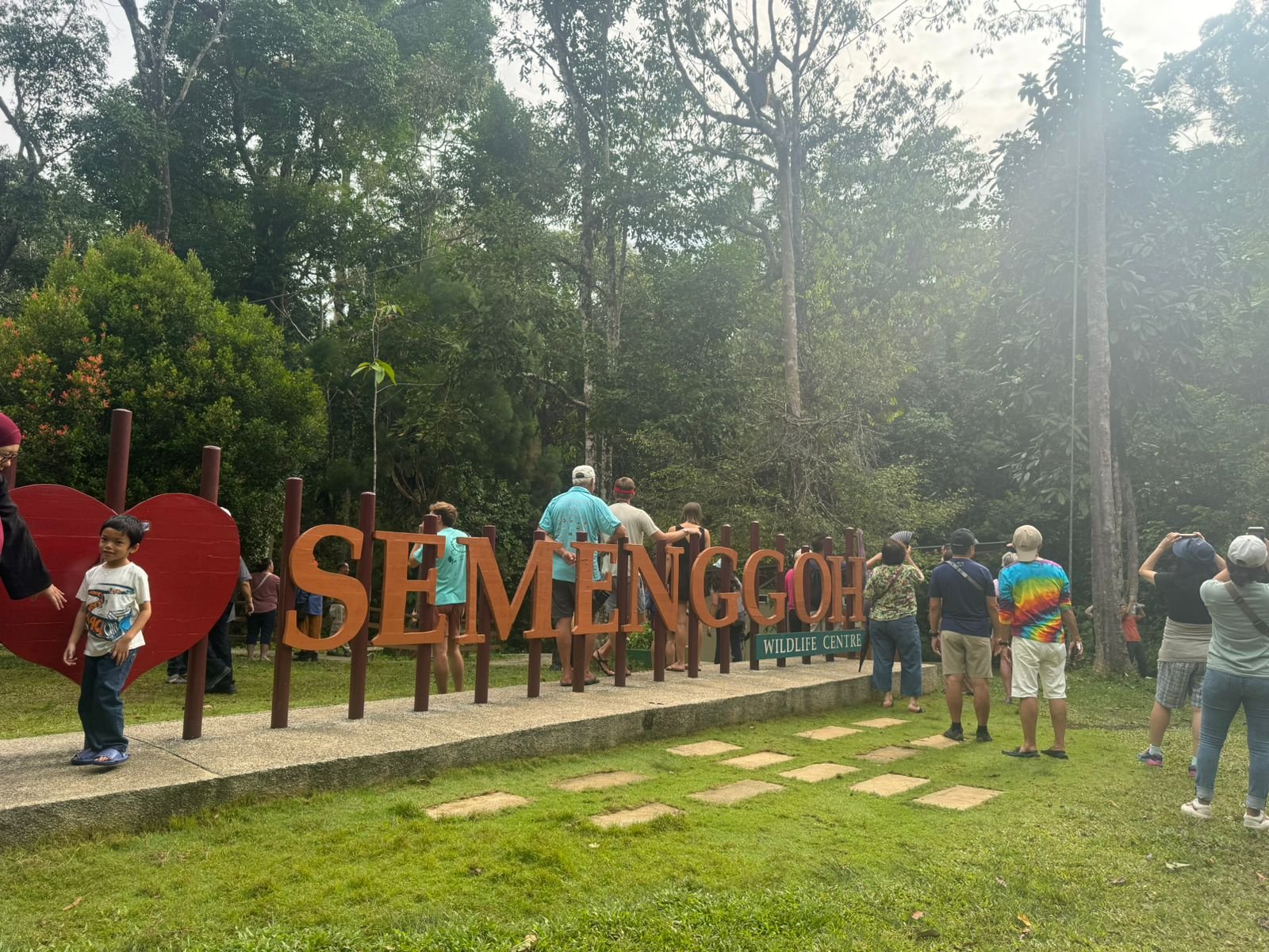 Mengenal Hutan Semenggoh’ Pusat Rehabilitasi Orangutan di Sarawak Malaysia