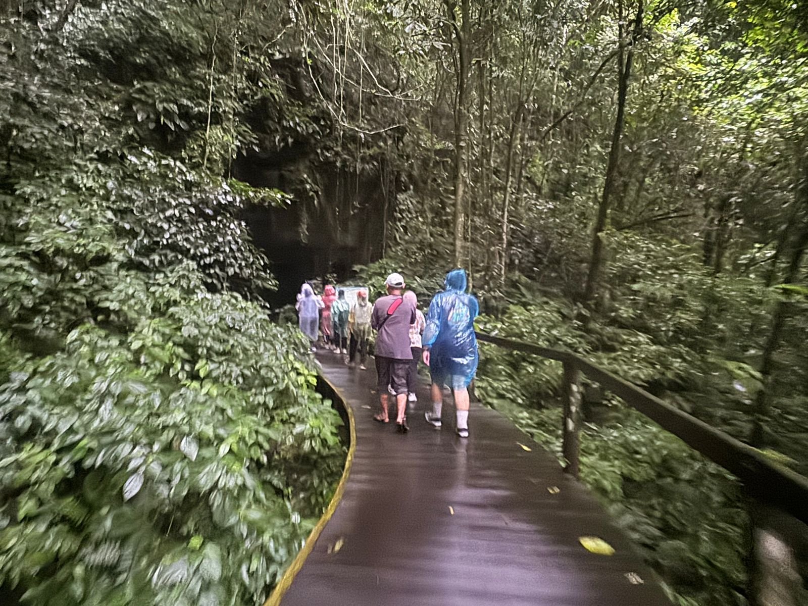 Melongok dalam Gua Lang yang Menakjubkan di Kawasan Taman Nasional Mulu Sarawak